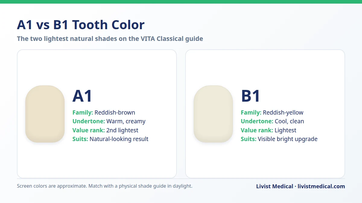 A1 vs B1 tooth color side by side with undertone, brightness rank and who each shade suits