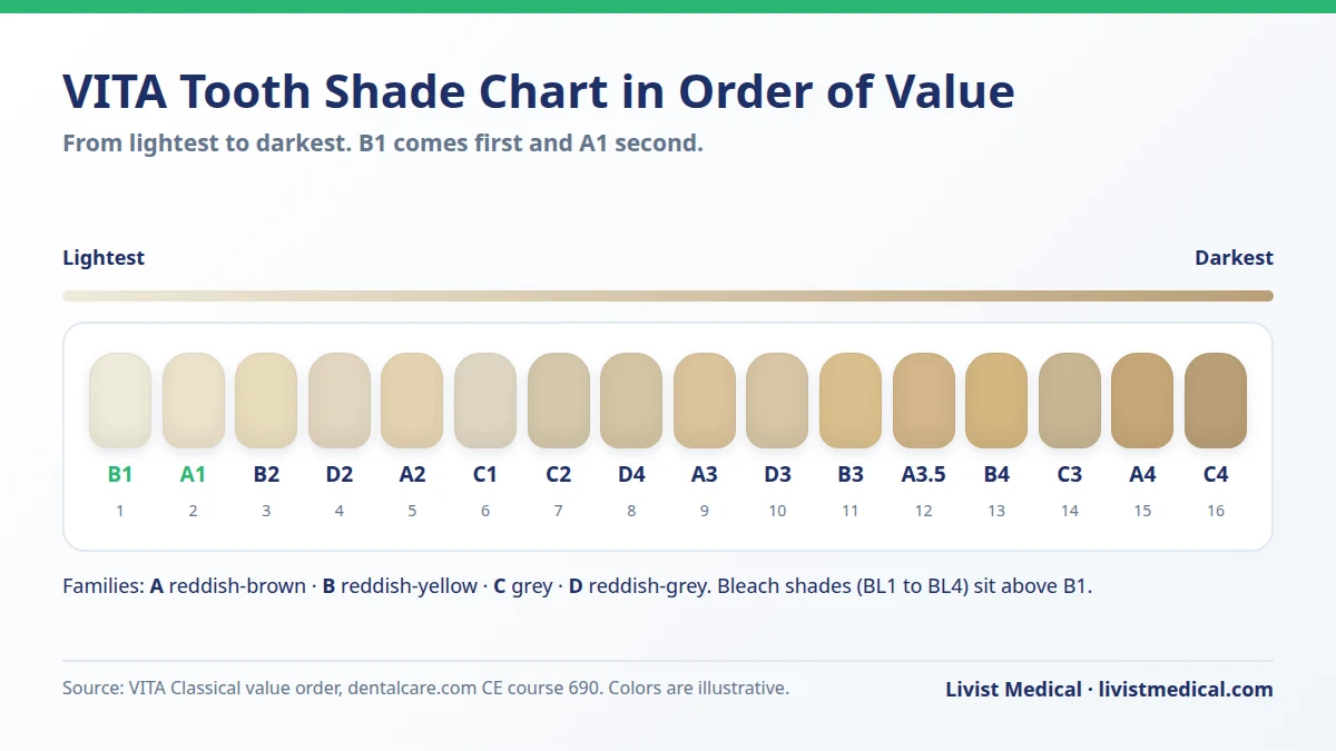 A1 vs B1 on the VITA tooth shade chart in order of value, from B1 lightest to C4 darkest