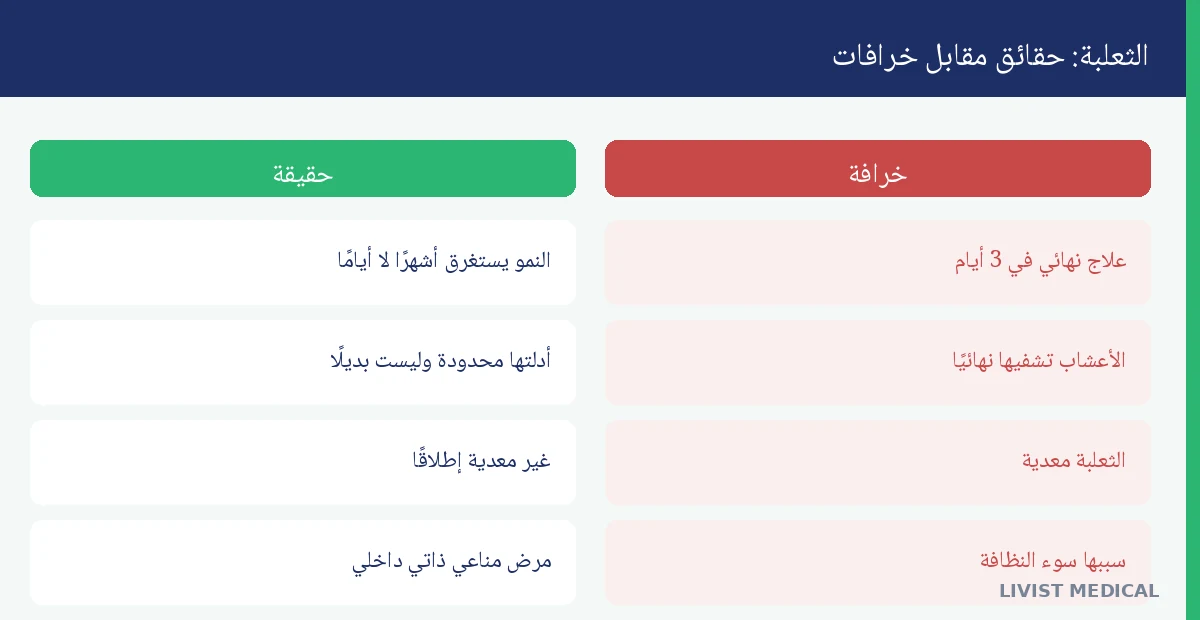 الثعلبة: الحقائق العلمية مقابل الخرافات الشائعة حقائق وخرافات عن الثعلبة