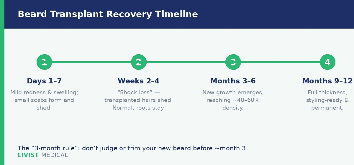 Beard transplant recovery timeline