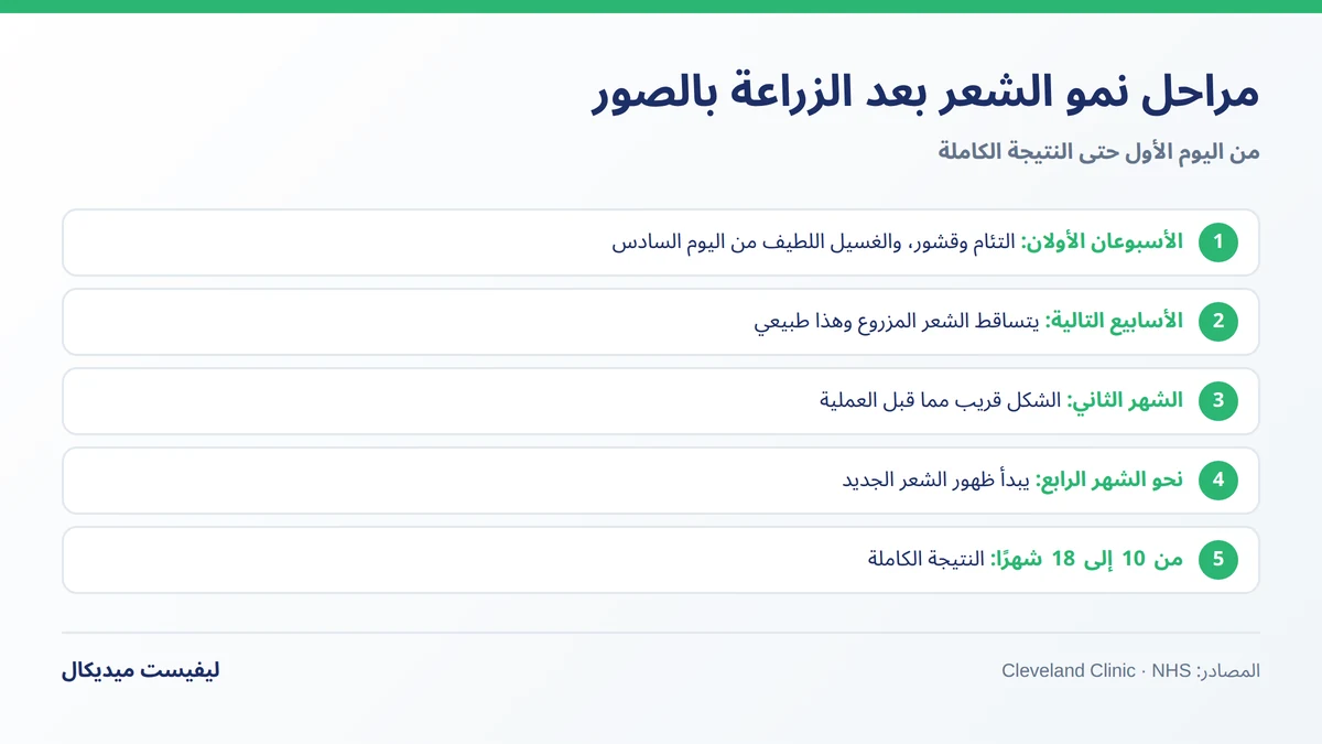 مراحل نمو الشعر بعد الزراعة بالصور من اليوم الأول حتى 18 شهرًا