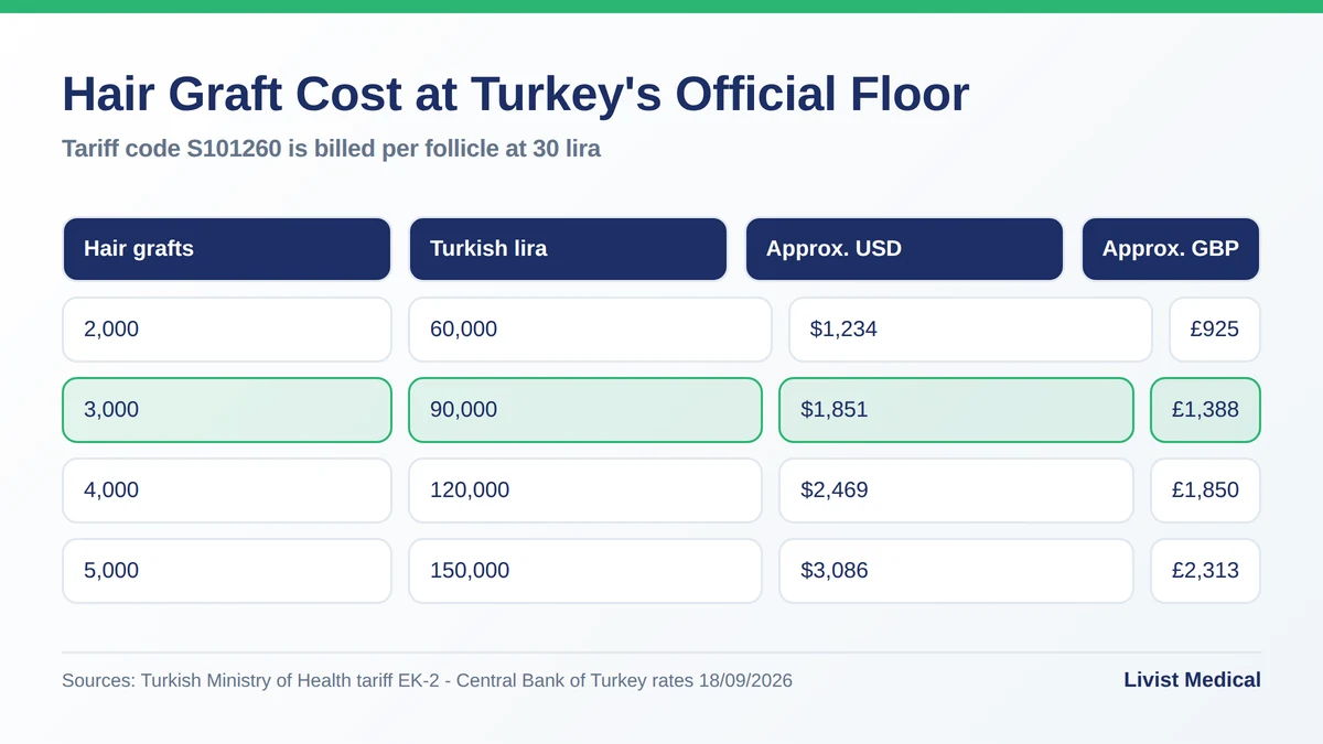 Hair graft cost at Turkey's official floor