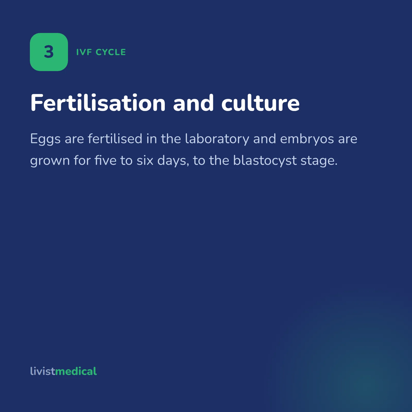 IVF cycle step three: fertilisation and embryo culture for five to six days