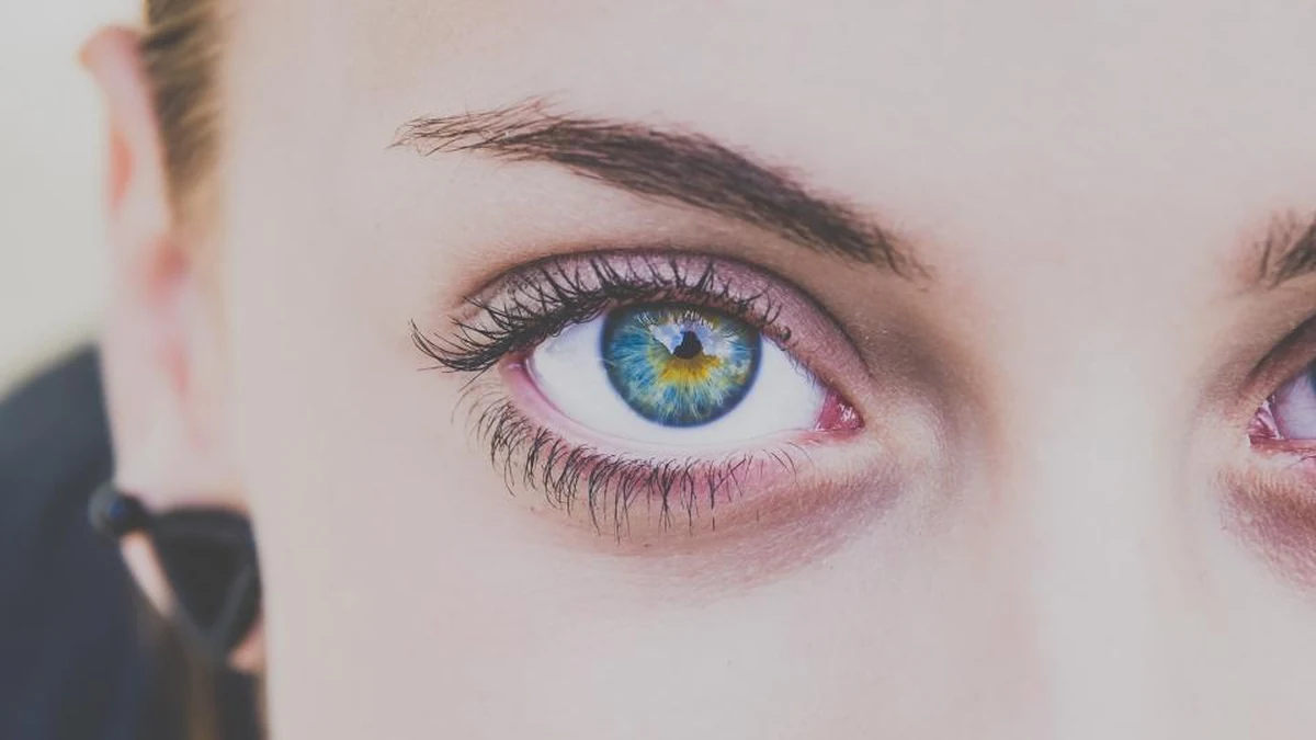 Close-up of an eyebrow showing hair direction and density