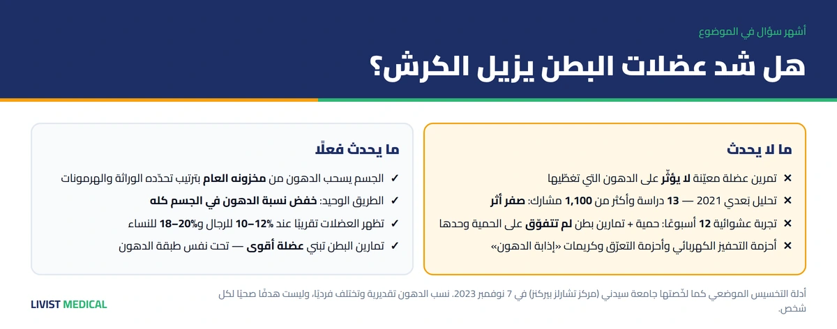 أسطورة حرق الدهون الموضعي — ما تقوله التجارب